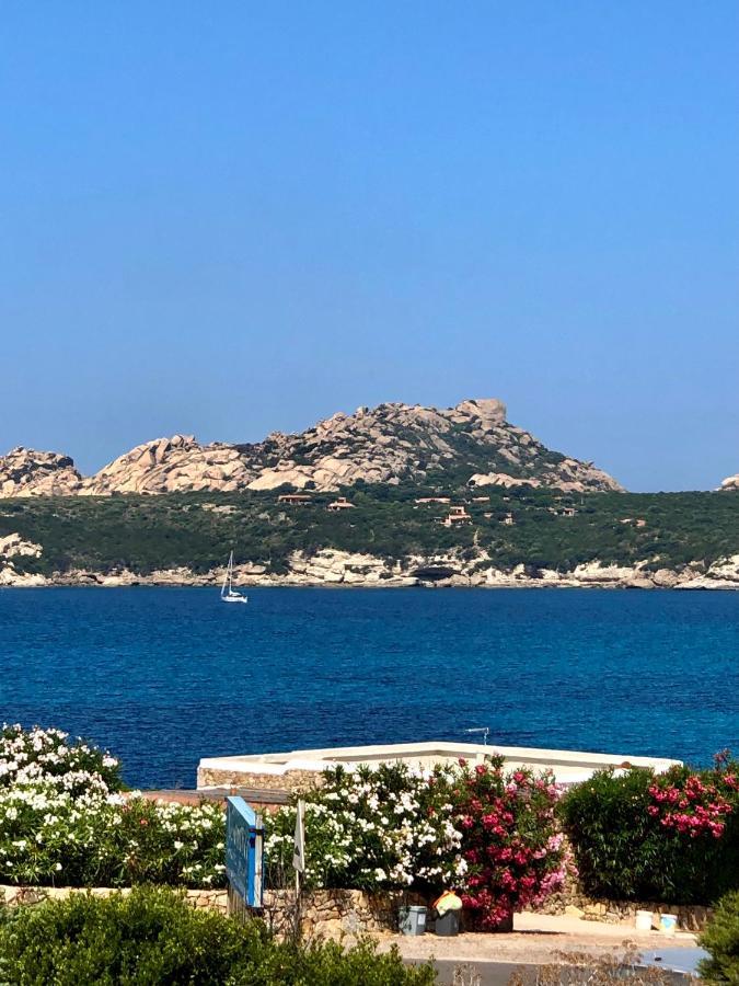 Appartamento Incantevole Con Vista Mare Buoncammino Eksteriør billede